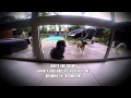 Snowy Gets A Visit From The Neighbour Snowies Adventures 4