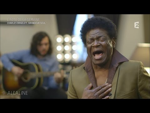 Alcaline, le Mag : Les news avec Charles Bradley, Gala, Prince...