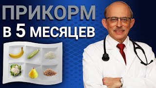 Прикормка для малыша с какого месяцами