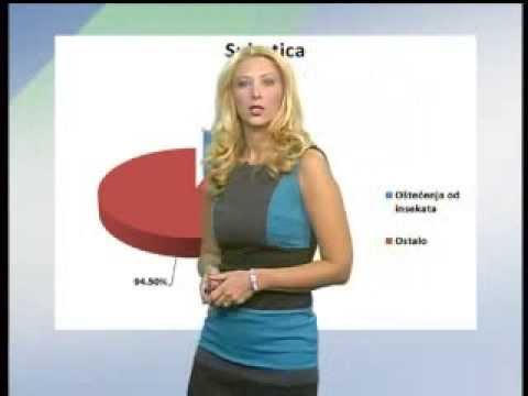 Zelena prognoza 30.9.2013.