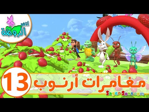 اناشيد الروضة - تعليم الاطفال - مغامرات ارنوب الحلقة ( 13 ) أرض الفراولة - بدون موسيقى - بدون ايقاع