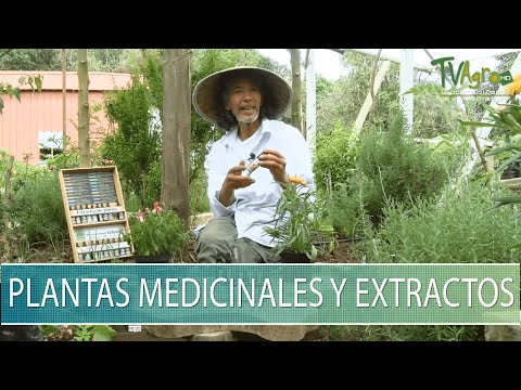 Plantas medicinales y extractos - TvAgro por Juan Gonzalo Angel Restrepo