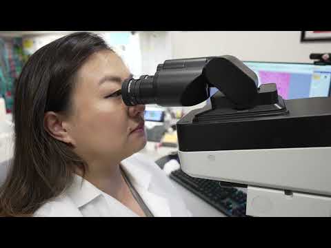 Ask a Pathologist: My pap test was abnormal, but the HPV test was negative. What does this mean?