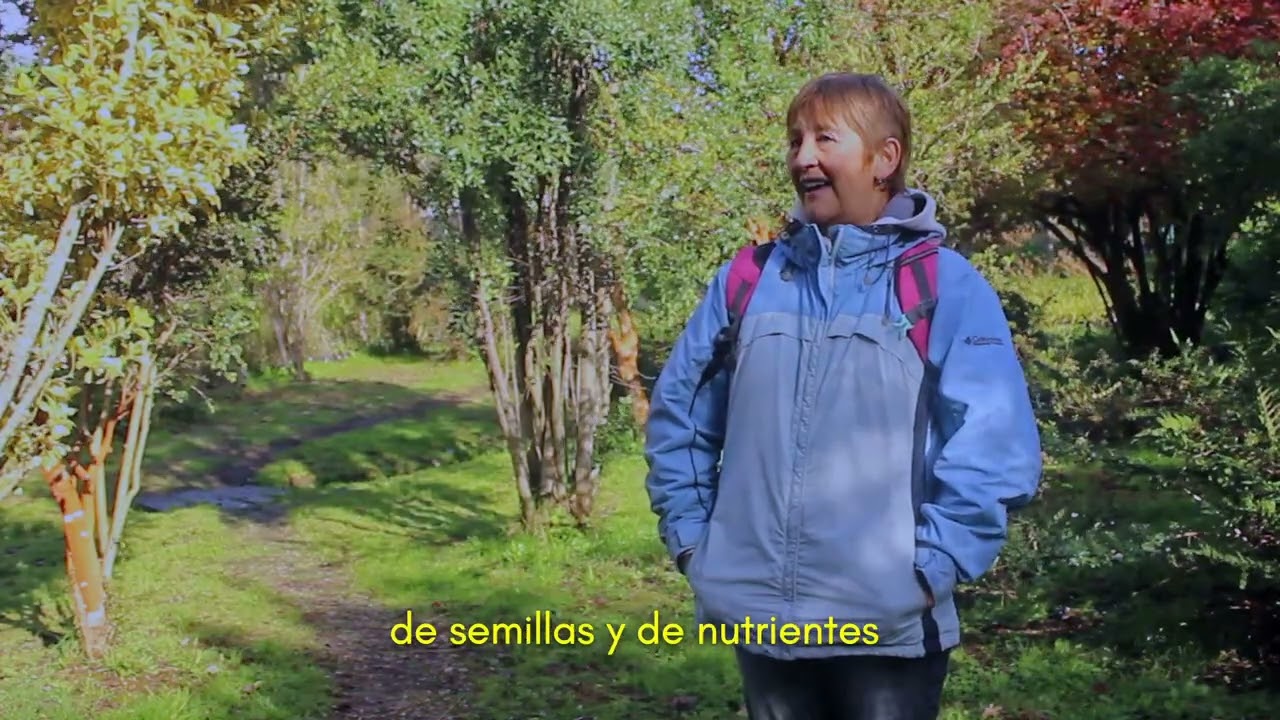 Dirigentes Bosquentrama y Política Forestal_ 2026