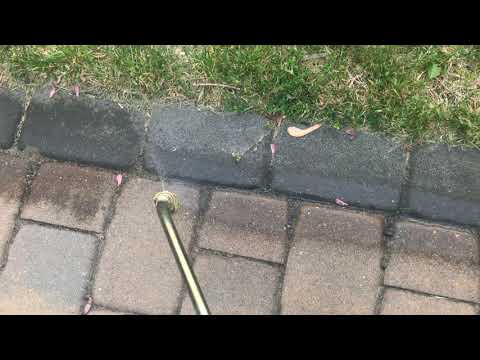 Pavers Provided Protection for Pavement Ants in Toms River, NJ