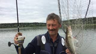 Отчет о рыбалке на можайском водохранилище за прошедшую неделю