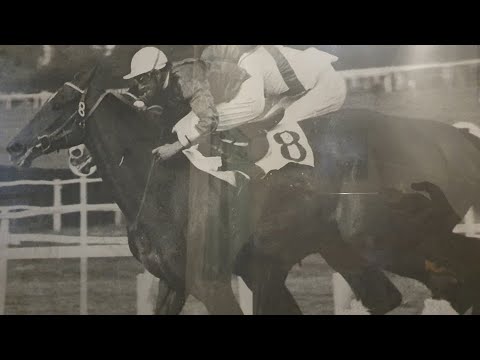 Pillole di ippica - La scuderia Aterno e la Spineta, orgoglio di Capannelle