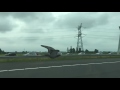 Duif vliegt