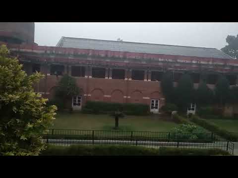#Artsfaculty (#Universityofdelhi) #rain #du #shorts