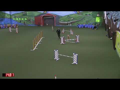 Yashica Time2Beat 121921