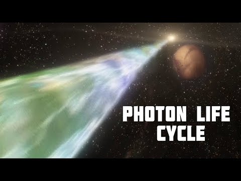 Where photons disappear when the light goes out? Photon Life cycle