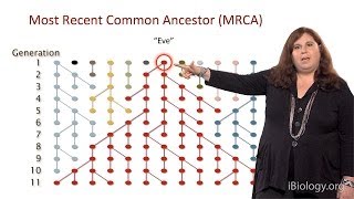Sarah Tishkoff (U. Pennsylvania) Part 1: African Genomics: Human Evolution
