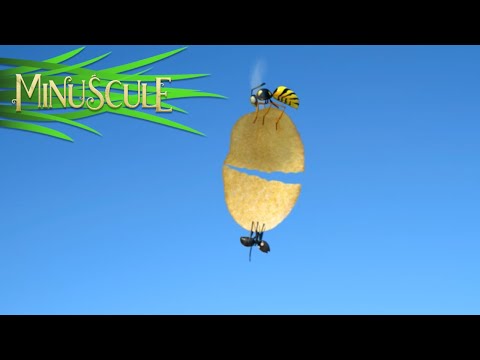 Minuscule – Patatas fritas (Season 2)