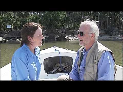 6 MONKEY ISLAND TSR PKG