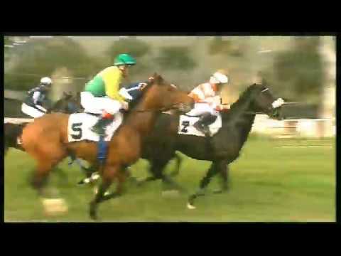 Galoppo 25/01/2020 - 1ª corsa