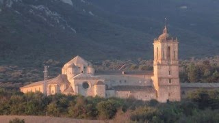 Godfather Waltz by Carle Brisson