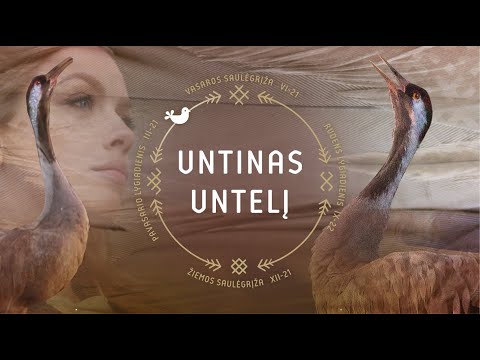 Untinas untelį, sutartinė / Dainos ir sutartinės apie paukščius 2021