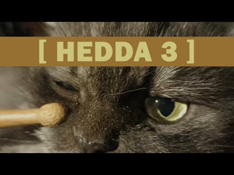 HEDDA 3