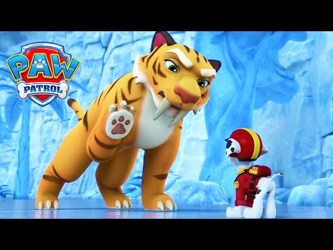 Animale foarte mari! 🐯 - PAW Patrol - Desene animate pentru copii