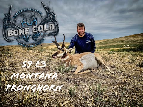 Season 9 Episode 3: Montana Pronghorn Antelope hunting with the crossbow and rifle.