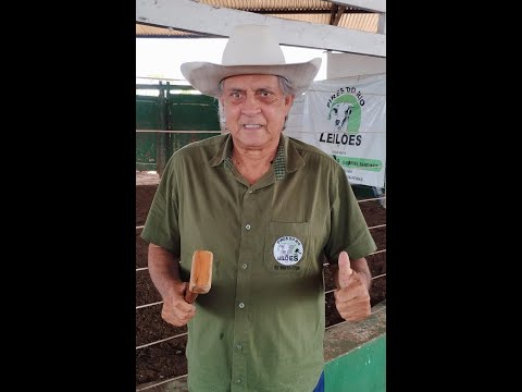 PIRES DO RIO LEILÕES - PIRES DO RIO - GO - 09/02/2026