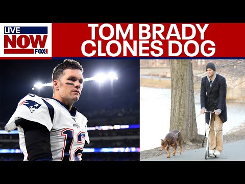 Video | Tom Brady says family dog is clone of pet that died in 2023