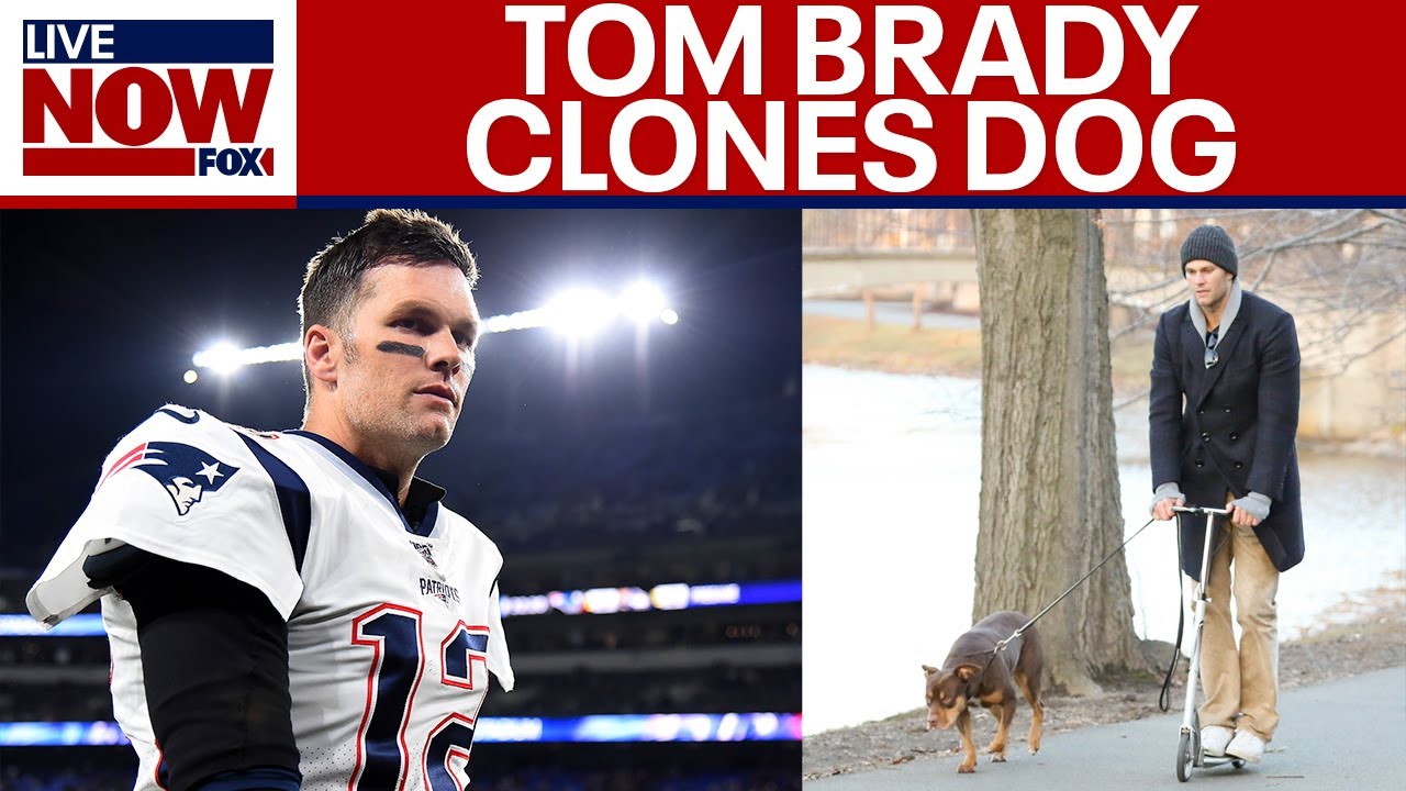 Tom Brady says family dog is clone of pet that died in 2023