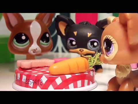 LPS Elokuva( Uusi oppilas )