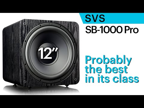 SVS SB-1000 Pro. Affordable 12" subwoofer. Probably the best in its class