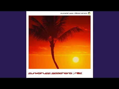 Funkware feat. Albert Tempel - Trough Train [Funkstuff Recordings]