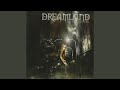 Dreamland, Eye, For, An 