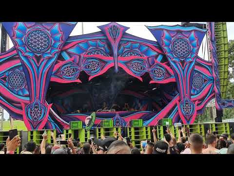 Lasmar - Flor da Vida 26/03/2022