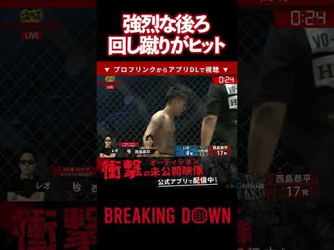【ブレイキングダウン】強烈な回し蹴りがヒットして…..