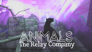The Relay Company - Animals [Letra en español e inglés]