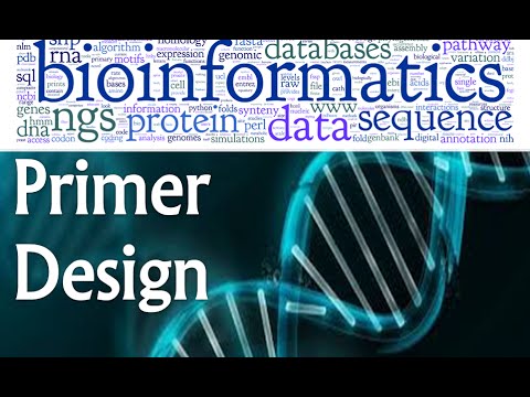 Bioinformatics lecture 16 primer design