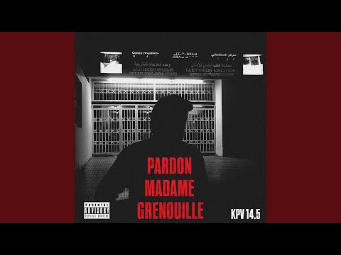 Pardon Madame Grenouille (Freestyle V)