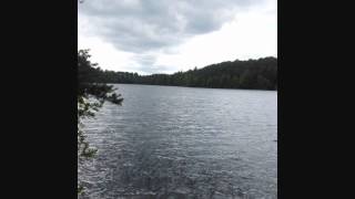 Marillion - Pour my love - With Lyrics