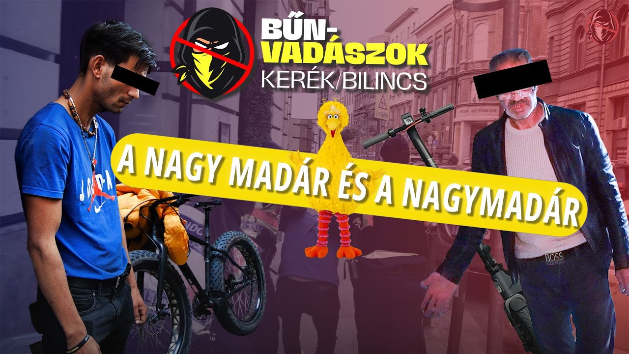 A NAGY MADÁR ÉS A NAGYMADÁR (Kerék/bilincs 6.)