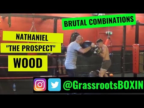BRUTAL COMBINATIONS! NATHANIEL WOOD (BEHIND THE SCENES) PRIOR TO UFC 232 - BRITISH BANTAMWEIGHT