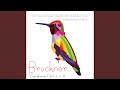 Symphony No. 7 in E Major, WAB 107: I. Allegro moderato
