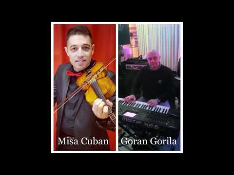 MIsa Cuban Goran Gorila Opasno Kolo