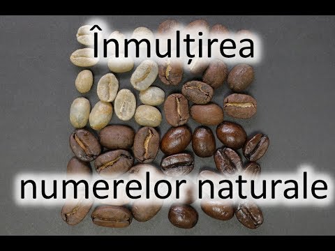 Inmultirea numerelor naturale