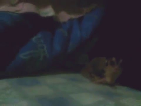 เล่นกลับเก๊ากี้ยามว่าง