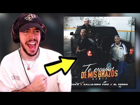 REACCIÓN A | ECKO, CALLEJERO FINO, EL PERRO - TE ESCAPAS DE MIS BRAZOS (REMIX) (OFFICIAL VIDEO)
