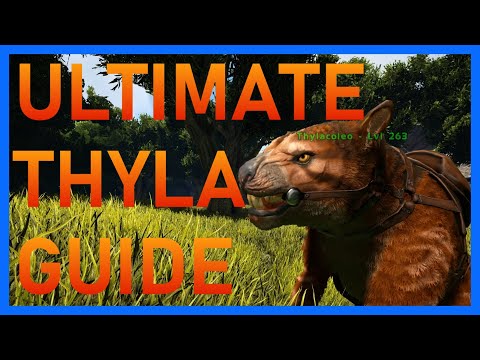 How to tame a thylacoleo Ark 2023
