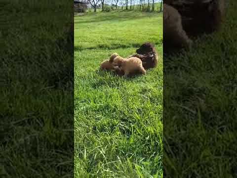 Brotherly Love playing on a nice Spring day