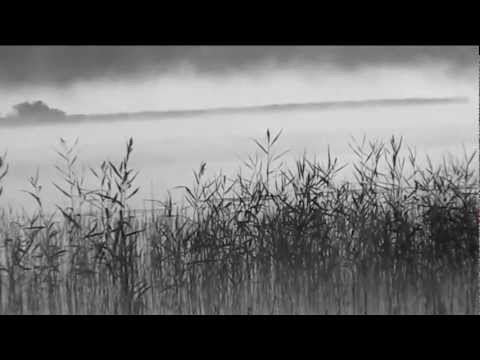 Hyvää lauantai aamua vaan 11.8.12