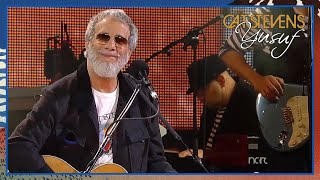 Yusuf / Cat Stevens - Miles from Nowhere (Viña Del Mar Festival, Chile 2015)