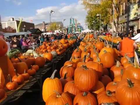 Patsy Lea Artrip - The Circleville Pumpkin Show Song