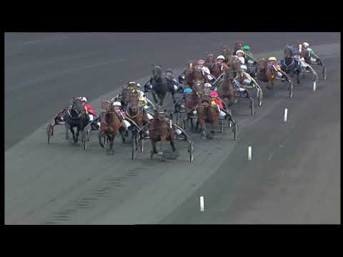 2008 PRIX DU BOURBONNAIS - LA COURSE - MAGNIFICENT RODNEY